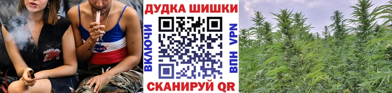 Каннабис MAZAR  Купить закладки  Заринск 